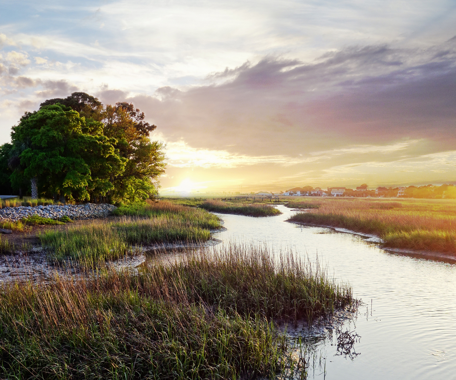 A Brief History of Southern Literature in the United States