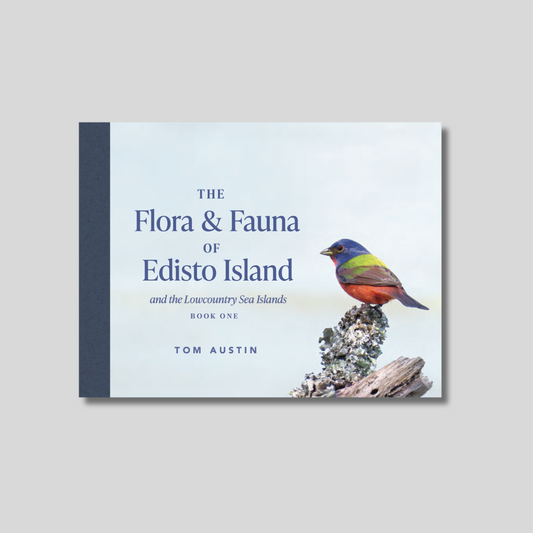 The Flora and Fauna of Edisto Island and the Lowcountry Sea Islands